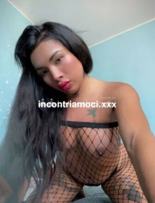 5 - Sheynis Trans Piacenza - 3883454134