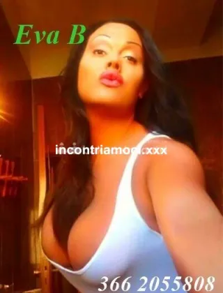 12 - Eva Trans Catanzaro - 3662055808