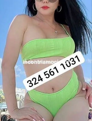 5 - New Trans Roma - 3245611031