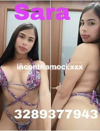 5 - Sara Trans Siracusa - 3289377943