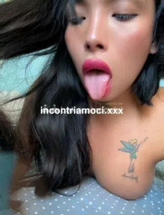 2 - Sheynis Trans Piacenza - 3883454134