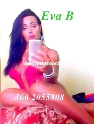 10 - Eva Trans Catanzaro - 3662055808