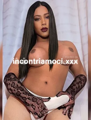 3 - Jade Trans Ancona - 3511277385