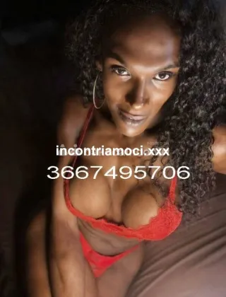 4 - Diana Trans Lucca - 3667495706