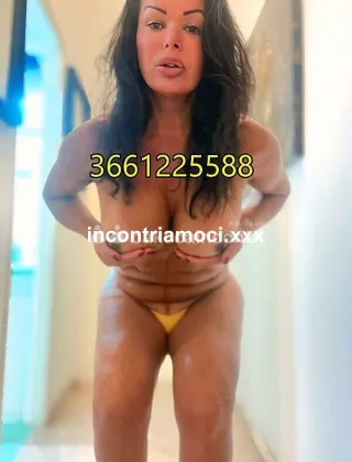 14 - Ylari Trans Roma - 3661225588