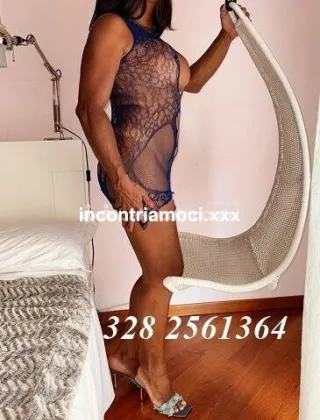 5 - Lana Trans Genova - 3282561364