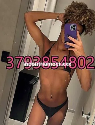 1 - Lua Xxl Trans Biella - 3793854802