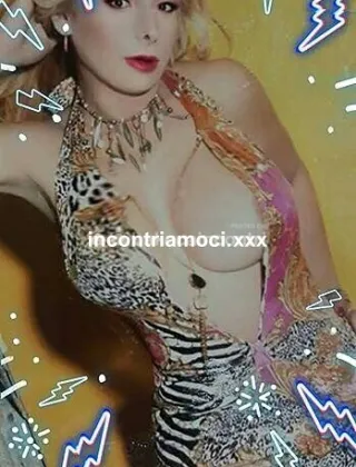 3929036875 - Lola 28 Trans Macerata