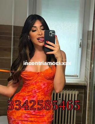 13 - Safina Trans Rimini - 3342585465