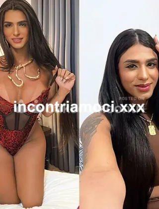 2 - Bruna Trans Imperia - 3932447717