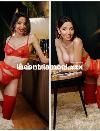 11 - Nara Trans Ancona - 3491526431