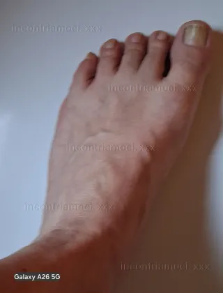 3884811100 - Master Lupo Cerca Cagne Leccapiedi