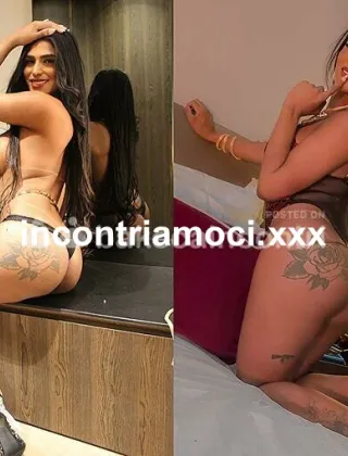 3 - Bruna Trans Imperia - 3932447717