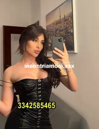 20 - Safina Trans Rimini - 3342585465