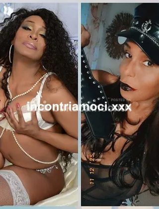 2 - Tina Trans Messina - 3520441686