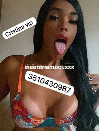 3 - Cristina Trans Lucca - 3510430987