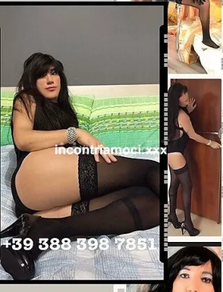 6 - Melissa Trans Alessandria - 3278479091