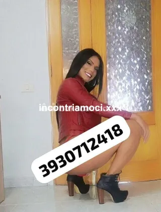 19 - Lorens Star Trans Palermo - 3930712418