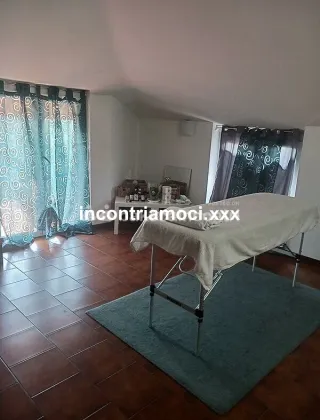 4 - Milena Escort Novara - 3391573940