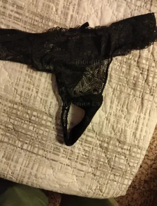 1 - Marika Trans Rimini - 3792928541