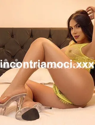 33 - Trans Roma - 3331201653