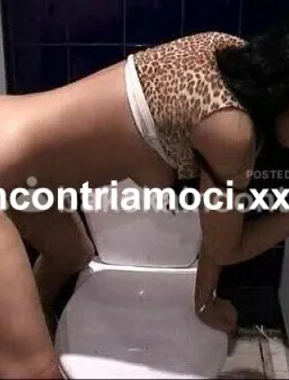 6 - Glory Escort Lucca - 3803844298