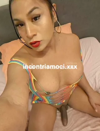 25 - Anitta Trans Como - 3933775927