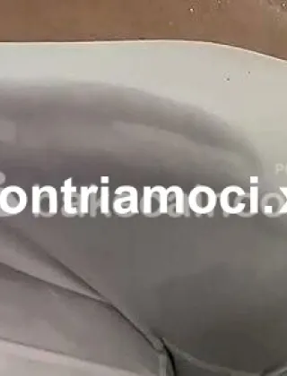 9 - Rebecaa Trans Verona - 3286511329