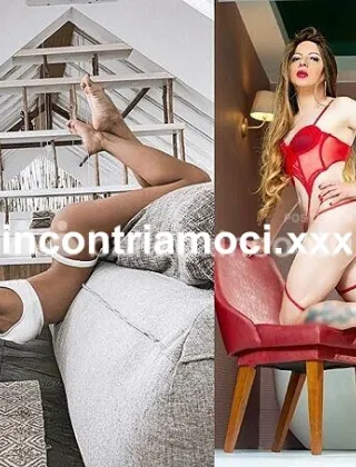 2 - Laira Trans Belluno - 3522287295