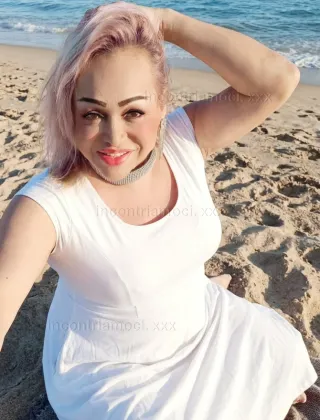8 - Trans Treviso - 3897907122