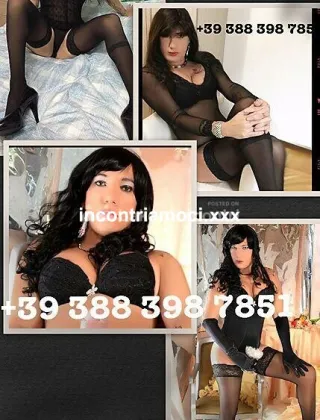16 - Melissa Trans Alessandria - 3278479091