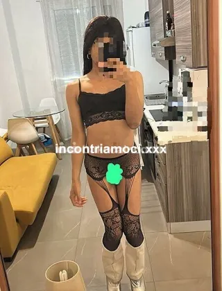 2 - Yasmints Trans Bergamo - 3925513130