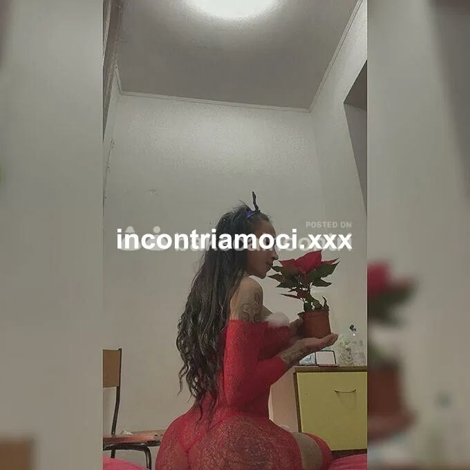 Bambolina Trans