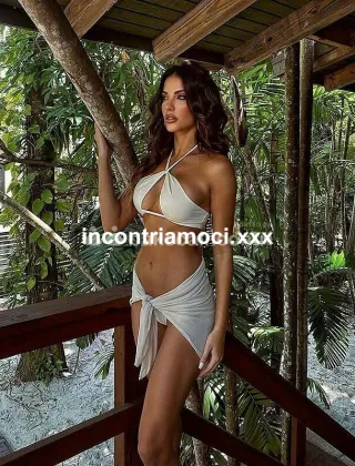 12 - Iris Trans Ancona - 3315820811
