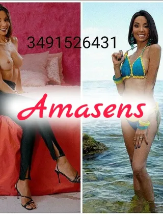 23 - Nara Trans Ancona - 3491526431