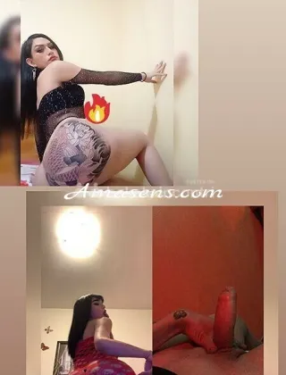 26 - Andreina Trans Parma - 3509287857