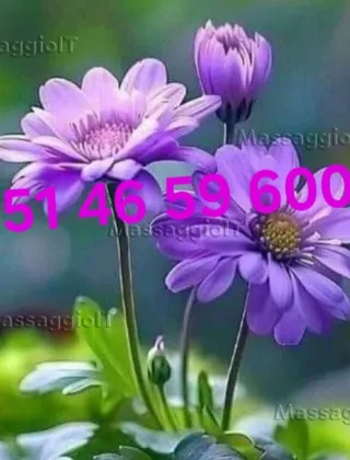 8 - Anna Massaggi Bologna - 3514659600