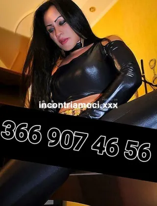 15 - Sono A Arcore Trans Monza e della Brianza - 3669074656