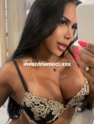 8 - Bruna Trans Trapani - 3513692344