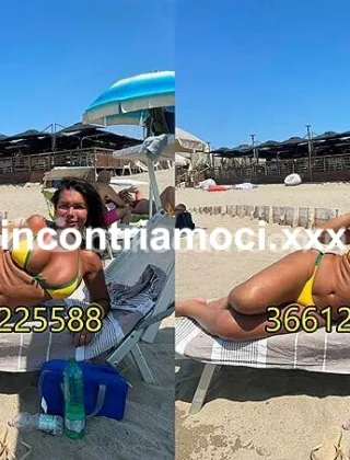 3 - Ylari Trans Roma - 3661225588