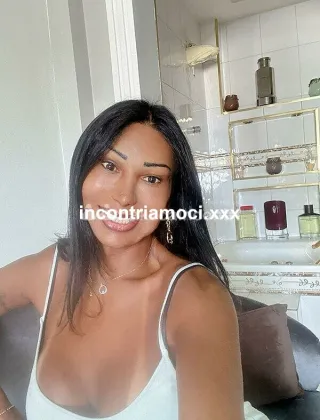 16 - Sheila Trans Brescia - 3392171031