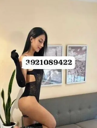 1 - Ambar Trans Pavia - 3921089422