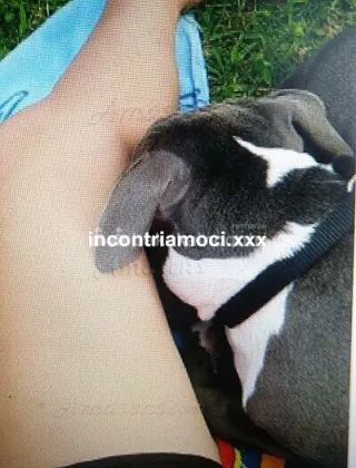 2 - Signora Escort Padova - 3470187037