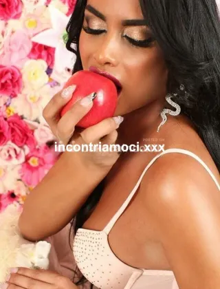 7 - Diana Trans Matera - 3460445431