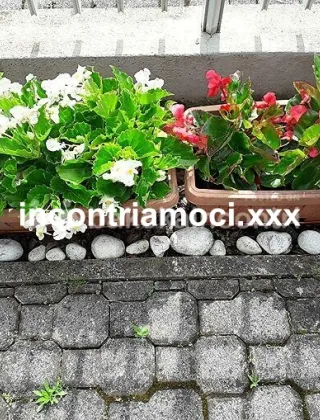 3 - Signora Escort Padova - 3470187037