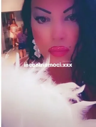 1 - Diana Trans Salerno - 3512203226