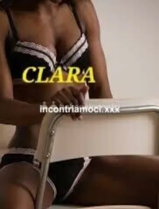 4 - Clara Escort Treviso - 3511426008