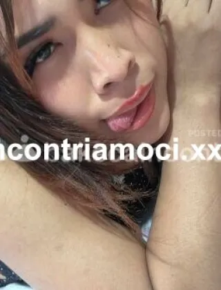 3 - Linda Trans Bolzano - 3511091299
