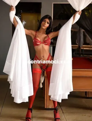 7 - Stella Castro Trans Oristano - 3511534252