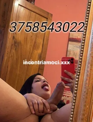2 - Celeste Trans Ancona - 3758543022